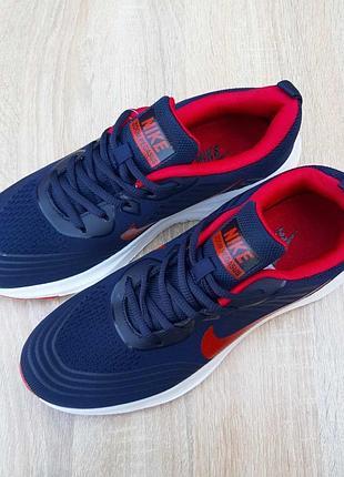 Nike zoom pegasus 4