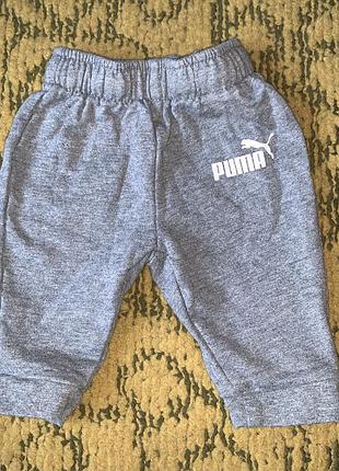 Штаны теплые puma 1-3 мес