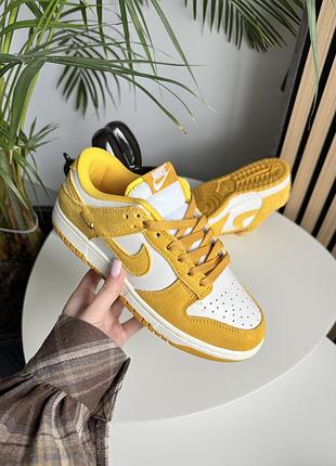Кросівки nike sb dunk low розпродаж!