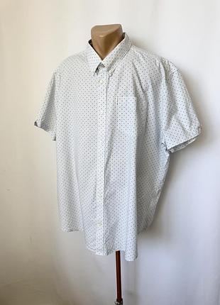 Ben sherman голубая рубашка тенниска батал большой размер в гооошек