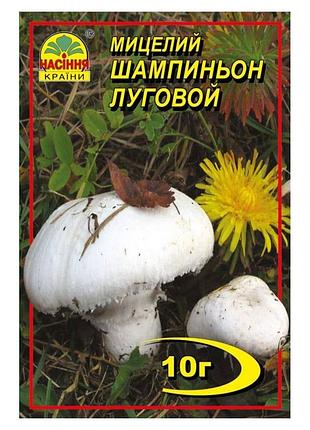 Міцелій шампіньйон луговой 2