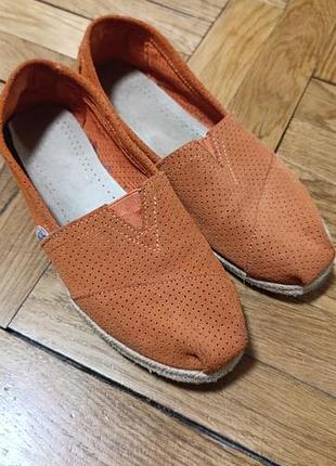 Замшеві балетки від toms