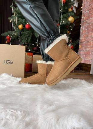Сапоги женские угг ugg