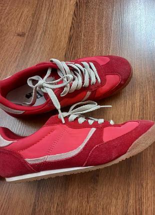 Кеди  zara 3