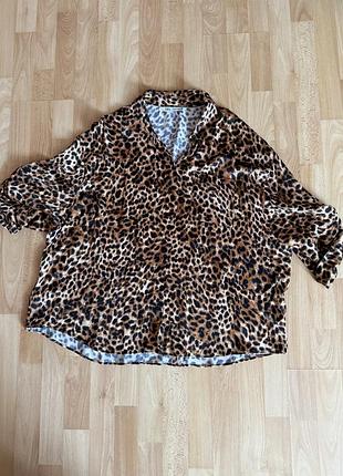Блузка zara
