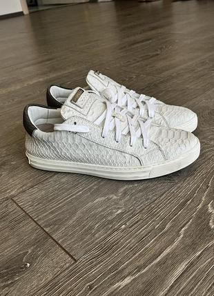 Dsquared2 python edition — оригінал з італії 3