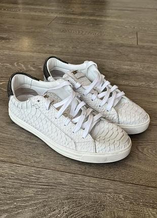 Dsquared2 python edition — оригінал з італії 5