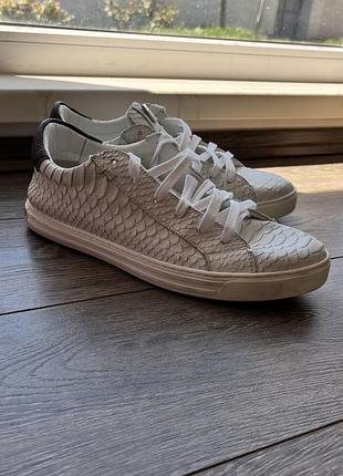 Dsquared2 python edition — оригінал з італії 7