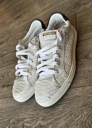 Dsquared2 python edition — оригінал з італії 6