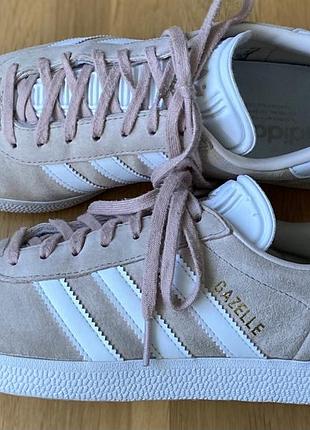 Кросівки adidas gazelle.
