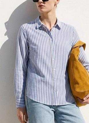 H&m сорочка в смужку блакитно-біла жіноча базова