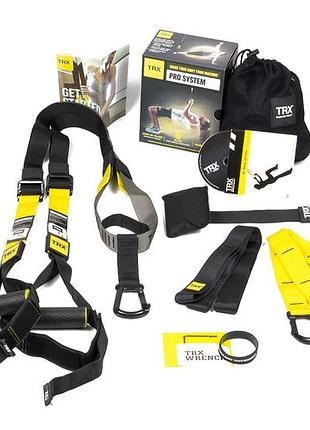 Петли trx pro 4 (p4, pro system)