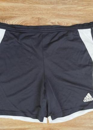 Шорти adidas