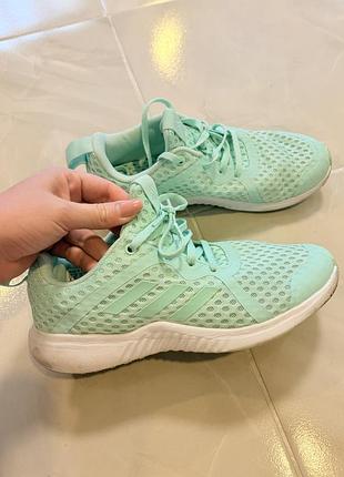 Кросівки  літо adidas 25см. розмір 38(39)