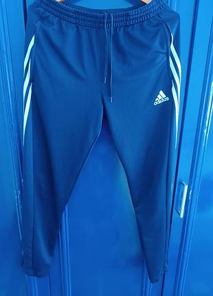 Спортивные штаны adidas   оригинал. размер l  взрослый