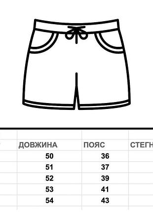 Шорти jordan 4
