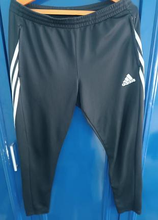 Спортивные штаны  adidas  оригинал , размер  l