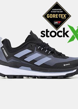 Terrex skychaser tech gore-tex