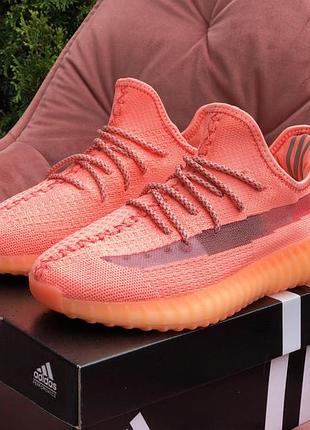 Adidas yeezy boost 350 v2 коралові
