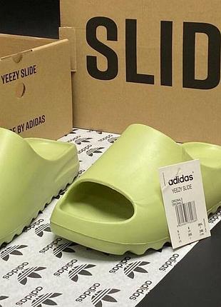 Adidas yeezy slide салатові