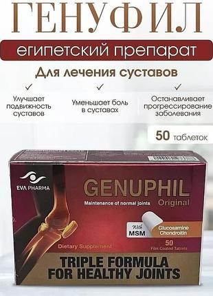 Генуфіл єгипет