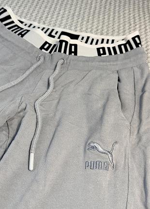 Спортивні стани puma