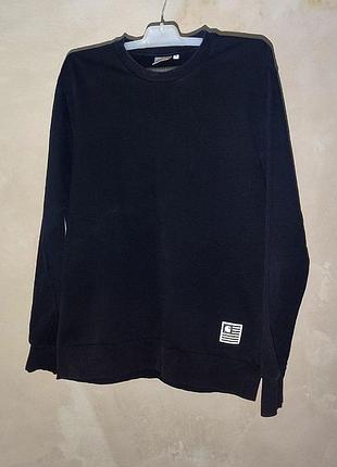 Свитшот carhartt state flag 2