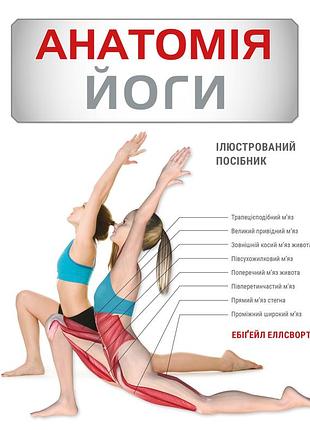 Книга анатомія йоги. ілюстрований посібник ебіґейл еллсворт bm