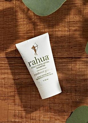Скраб -шампунь для шкіри голови rahua scalp exfoliating shampoo 22 мл