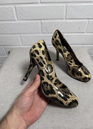 Dolce&gabbana оригінал жіночі леопардові туфлі човники лак шкіра розмір 36
