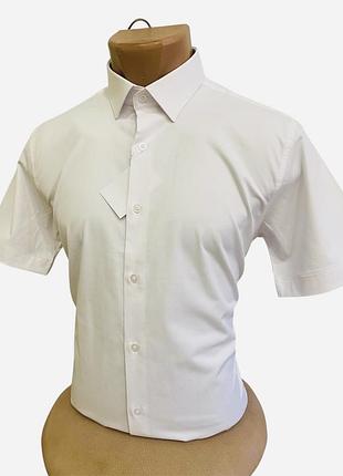 Сорочка vip coton,slim fit зі стрейчем від palmen