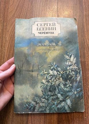 Сергей есенин черемуха стихи с иллюстрациями ретро винтаж