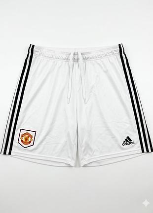 Спортивні шорти adidas manchester united