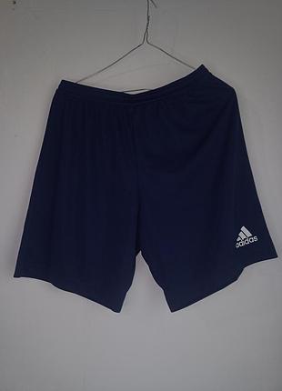 Мужские шорты adidas размер м