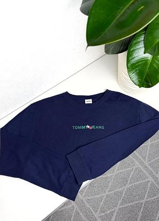 Чоловічий лонгслів tommy hilfiger