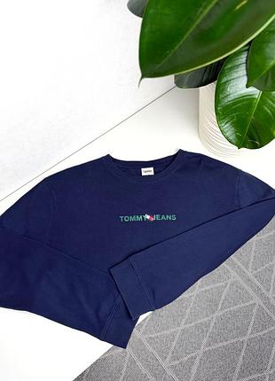 Чоловічий лонгслів tommy hilfiger 2