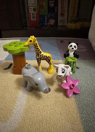Lego duplo «дитинчата тварин» 3