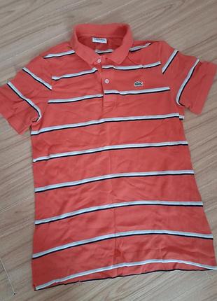 Поло lacoste