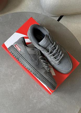Nike sb dunk low x supreme grey 6