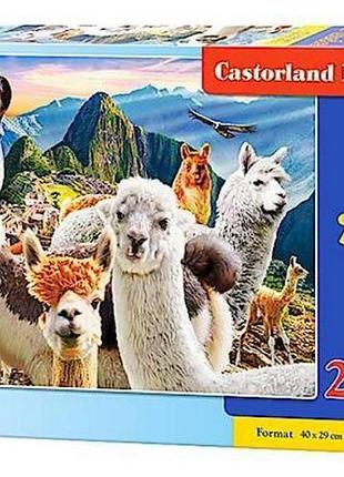 Пазли castorland 200 елементів серфі лами артикул (222193)
