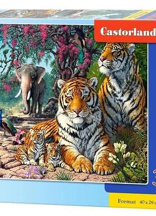 Пазли castorland 300 елементів tiger sanctuary 030484