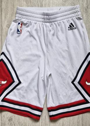 Шорты adidas chicago bulls
