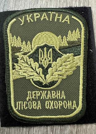 Шеврон государственная лесная охрана украины олива