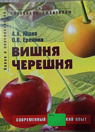 Вишня. черешня