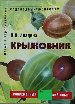 Крыжовник. аладина