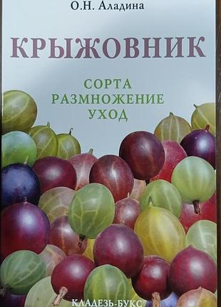 Крыжовник. 	аладина о.н.
