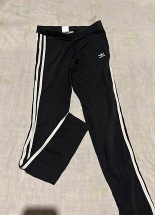 Лосіни adidas