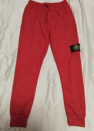 Штани спортивні чоловічі stone island