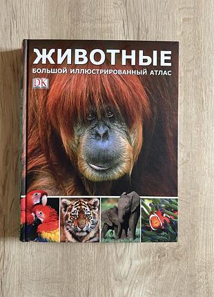 Большой иллюстрированный атлас «животные»