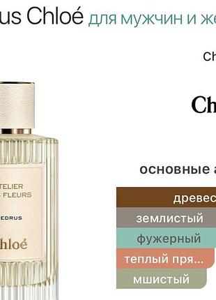 Cedrus chloé масляні парфуми